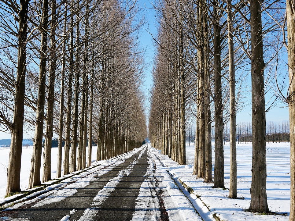 f:id:dhi-onn131:20210124164828j:plain