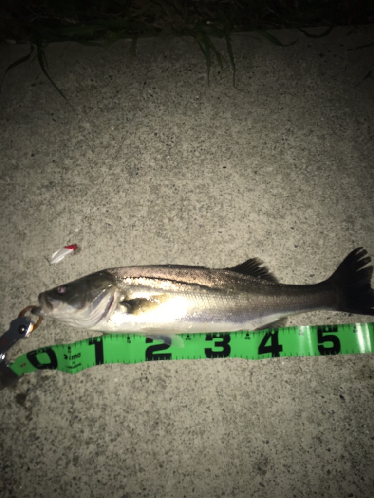 f:id:dhygy721:20170430154133j:image