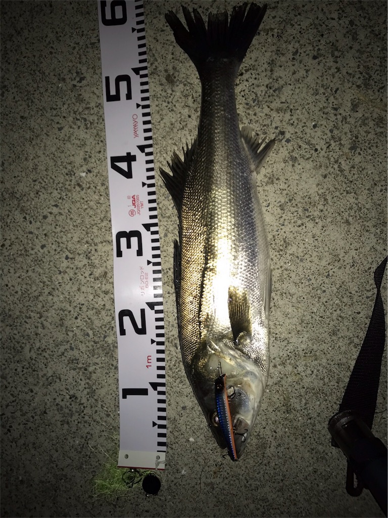 f:id:dhygy721:20170430154153j:image