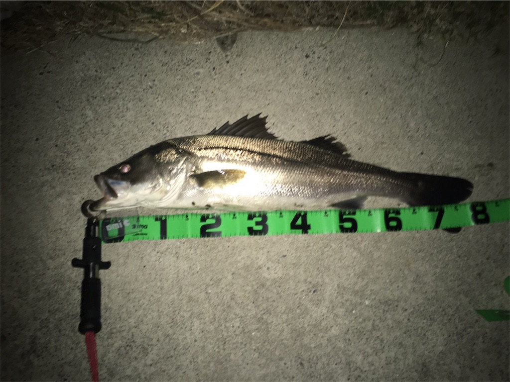 f:id:dhygy721:20170504192601j:image