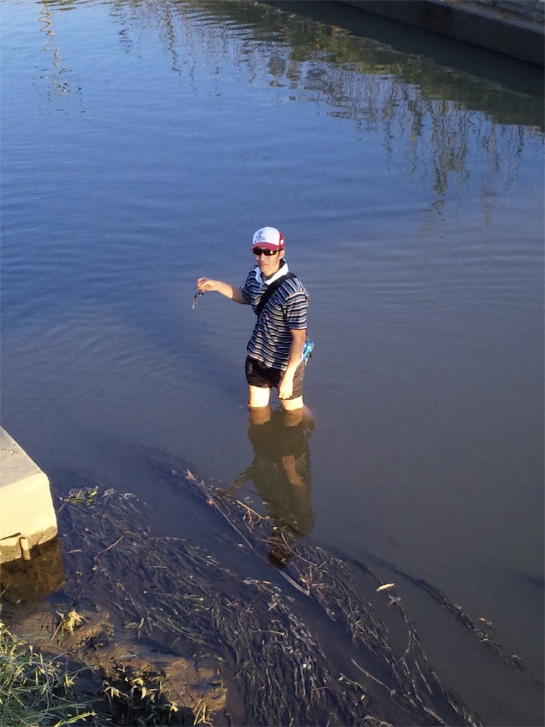 f:id:dhygy721:20170515000314j:image