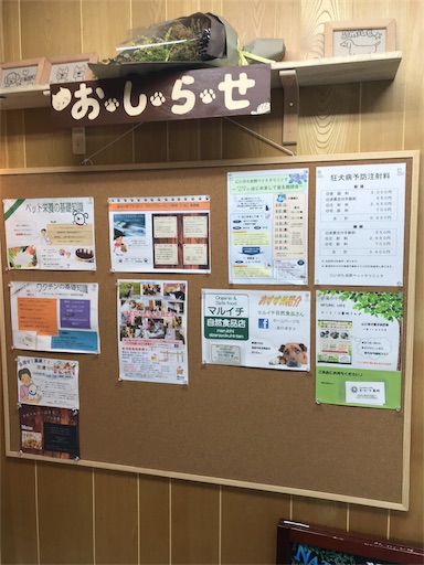 f:id:di-taku:20180706122307j:image f:id:di-taku:20180706122307j:image
