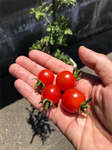 f:id:di-taku:20180706140530j:image f:id:di-taku:20180706140530j:image