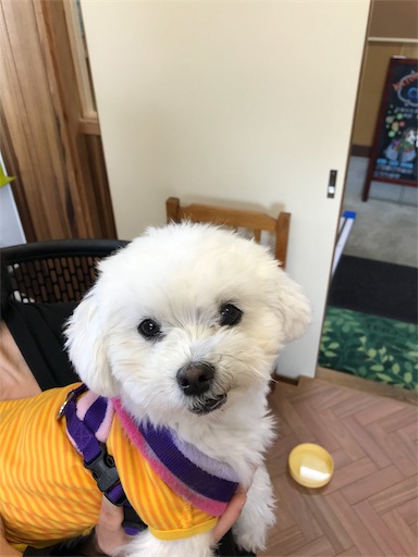 f:id:di-taku:20180828170623j:image f:id:di-taku:20180828170623j:image