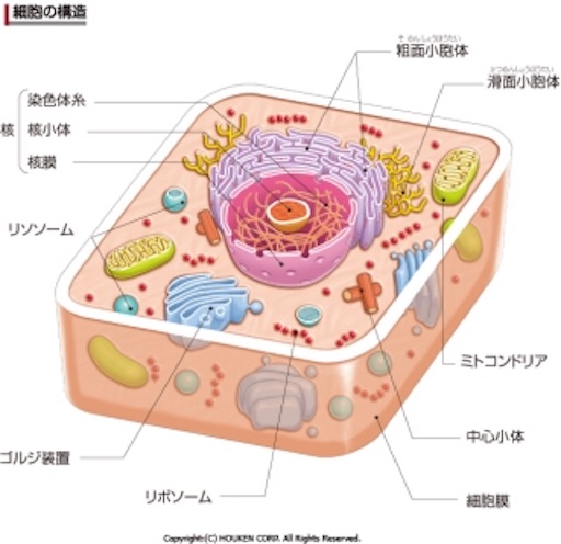 f:id:di-taku:20181222174153j:image f:id:di-taku:20181222174153j:image