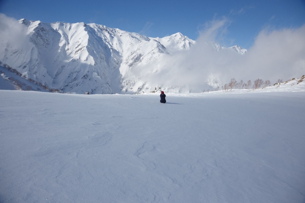 f:id:di82:20180119224450j:plain f:id:di82:20180119224450j:plain