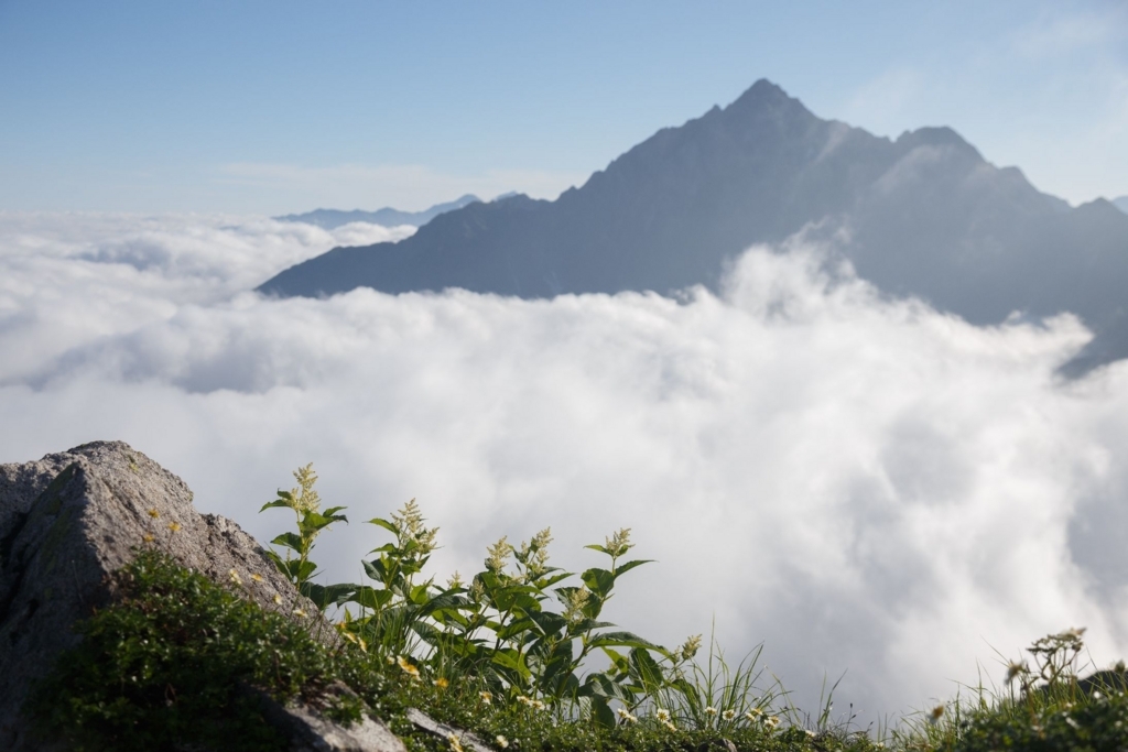 f:id:di82:20180702174614j:plain