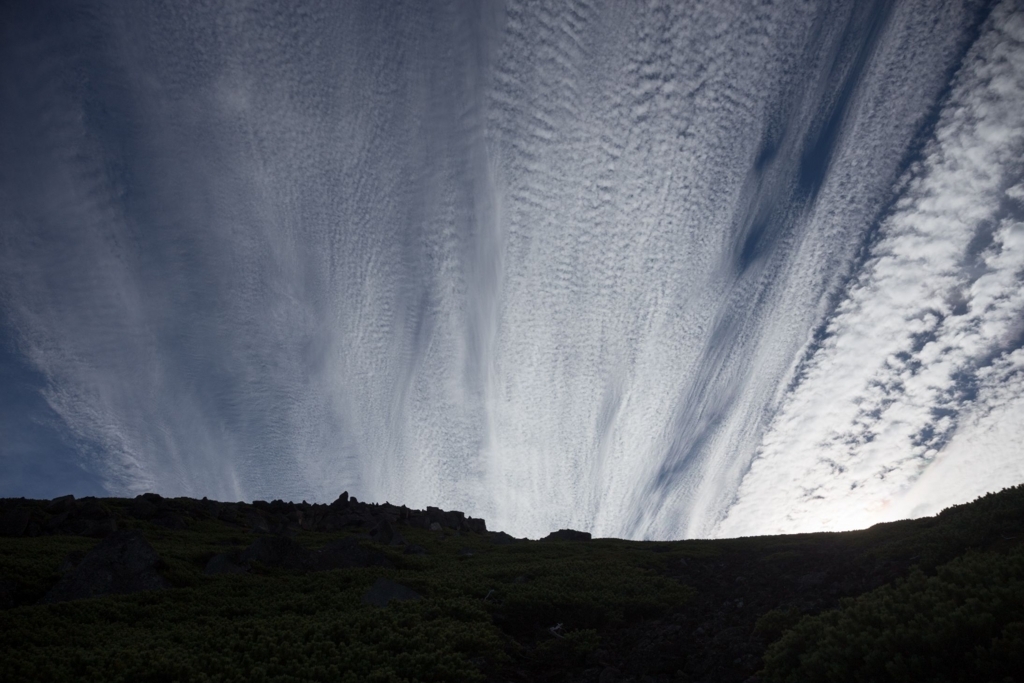 f:id:di82:20180702174625j:plain