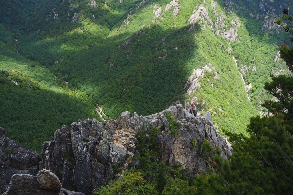 f:id:di82:20180702174637j:plain