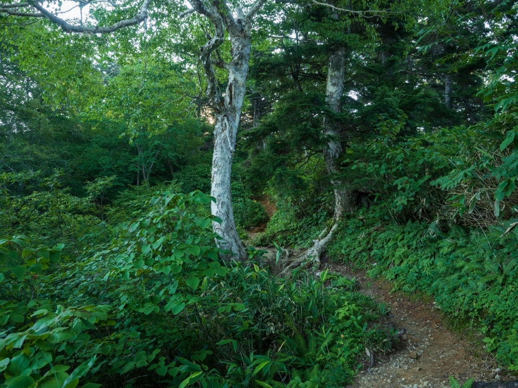 f:id:di82:20180808193721j:plain f:id:di82:20180808193721j:plain