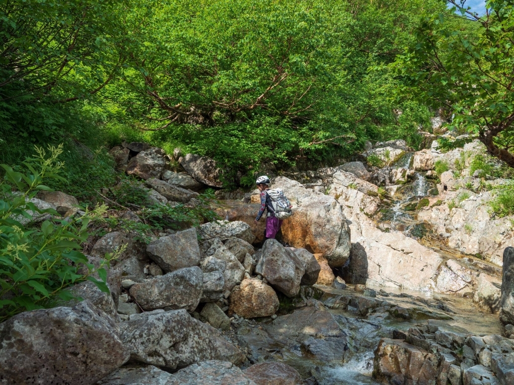 f:id:di82:20180808202358j:plain f:id:di82:20180808202358j:plain