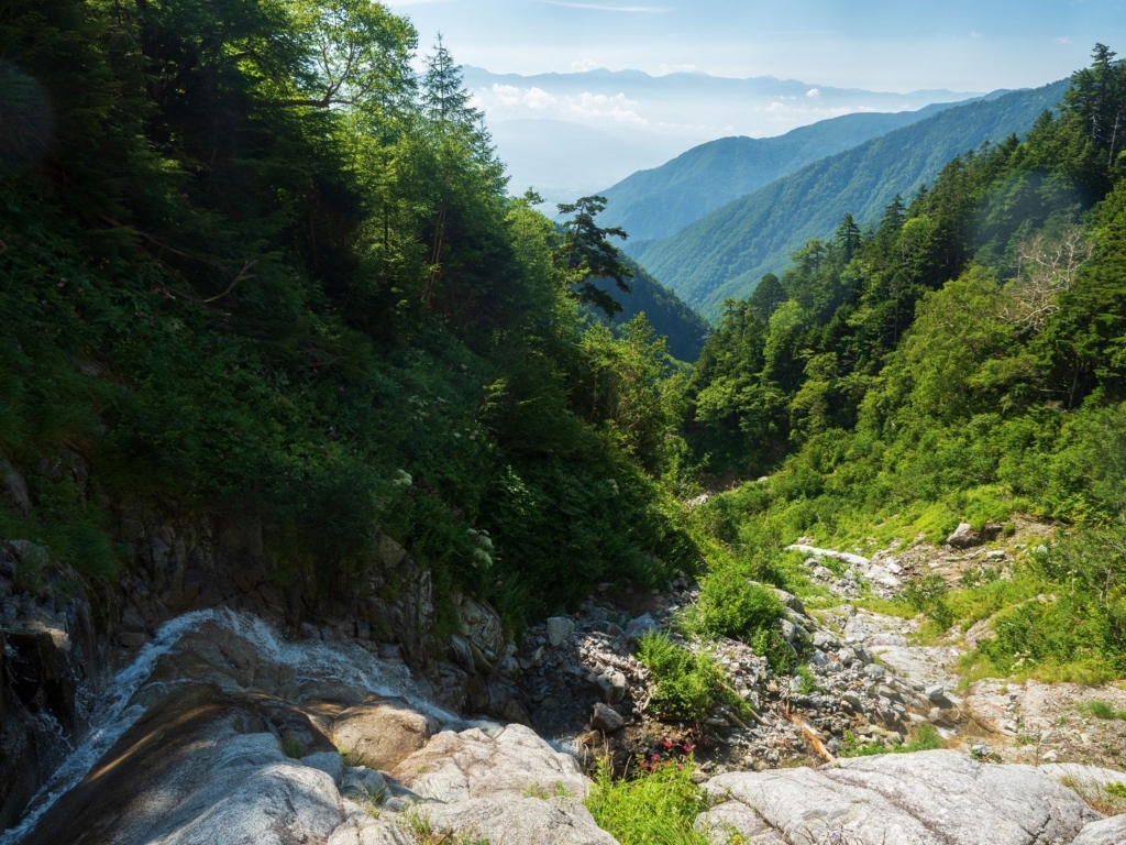 f:id:di82:20180816235600j:plain f:id:di82:20180816235600j:plain