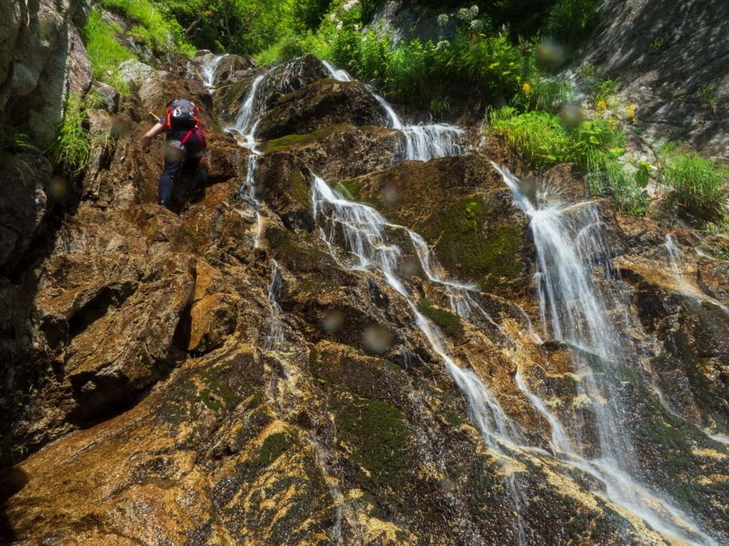 f:id:di82:20180817000423j:plain f:id:di82:20180817000423j:plain