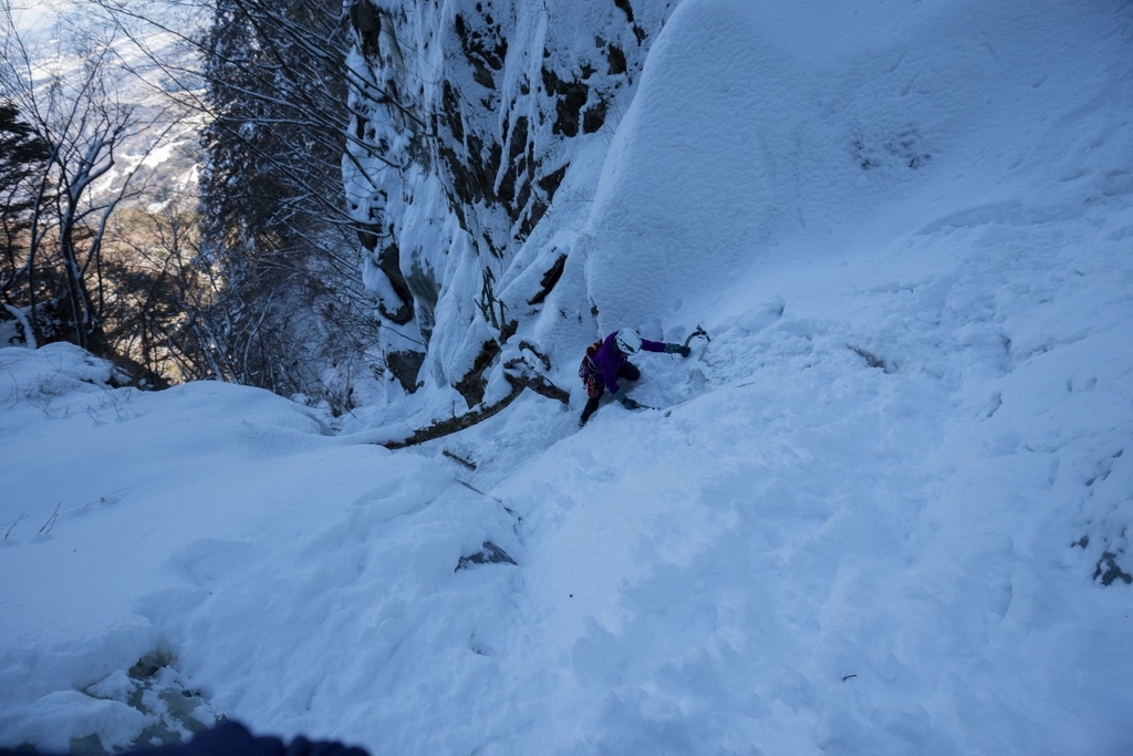 f:id:di82:20180922104451j:plain f:id:di82:20180922104451j:plain