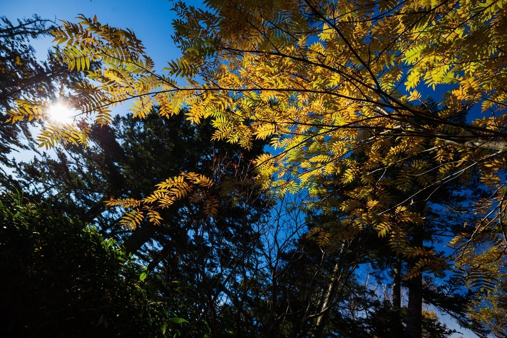 f:id:di82:20181003234104j:plain f:id:di82:20181003234104j:plain