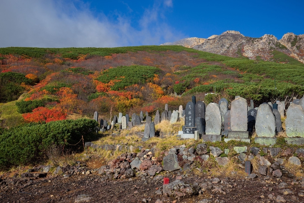 f:id:di82:20181003234207j:plain f:id:di82:20181003234207j:plain