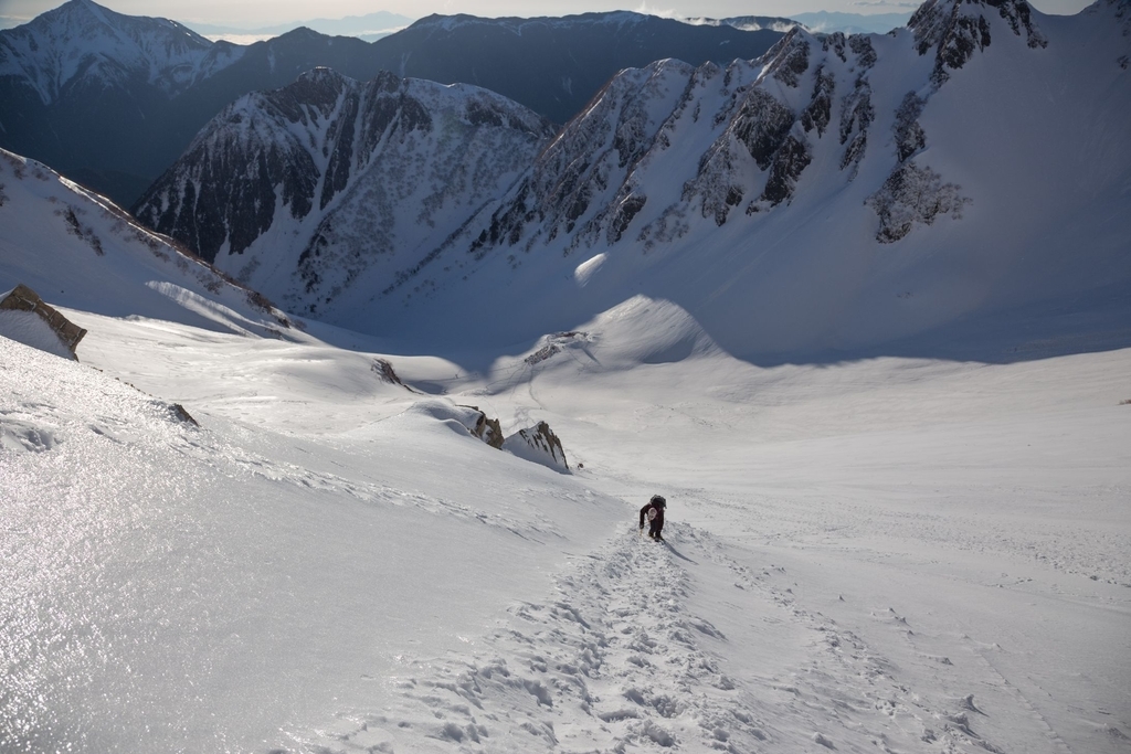 f:id:di82:20190101145150j:plain f:id:di82:20190101145150j:plain