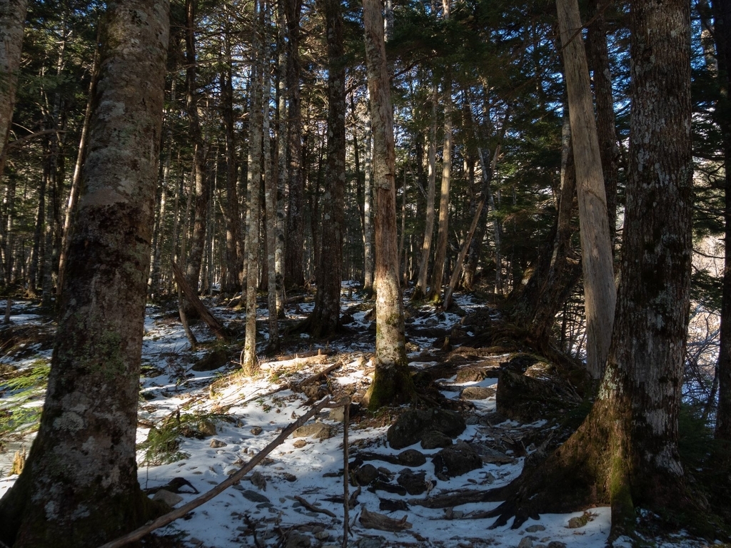 f:id:di82:20190124182943j:plain f:id:di82:20190124182943j:plain