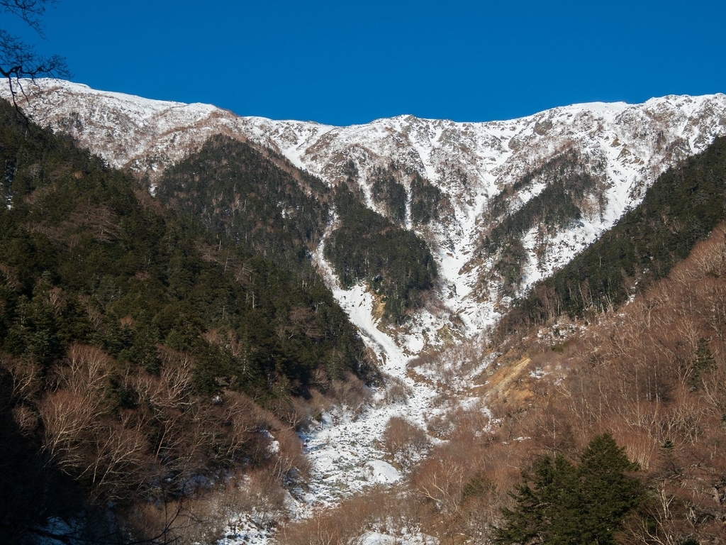 f:id:di82:20190124182957j:plain f:id:di82:20190124182957j:plain