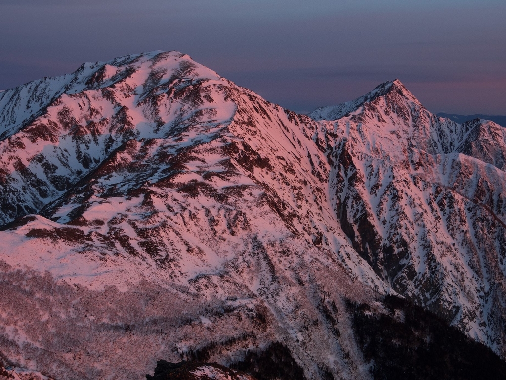 f:id:di82:20190124183222j:plain f:id:di82:20190124183222j:plain