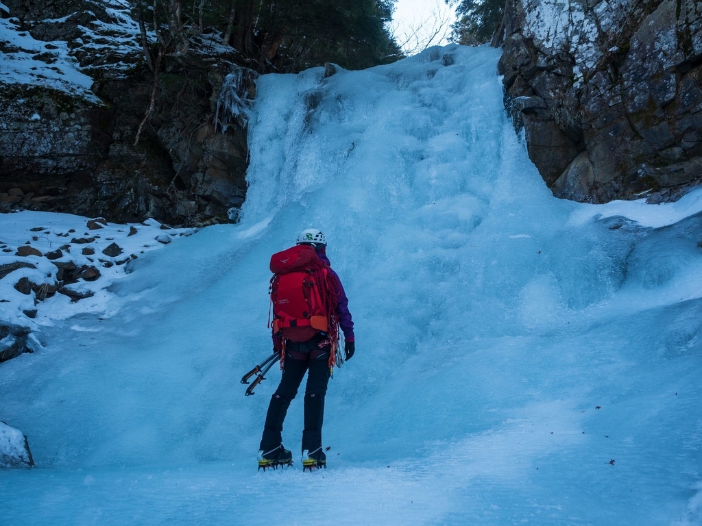 f:id:di82:20190124220135j:plain f:id:di82:20190124220135j:plain