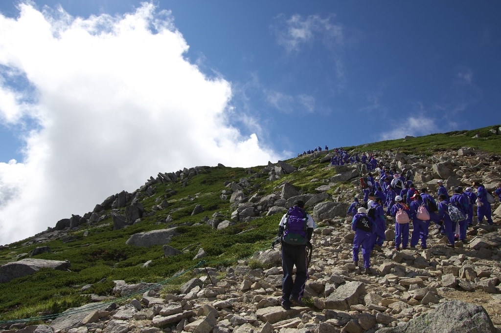 f:id:di82:20190124235542j:plain