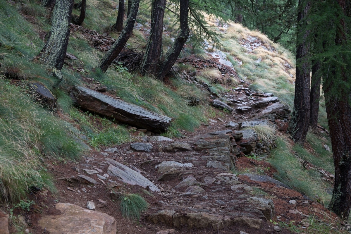 f:id:di82:20190329140116j:plain f:id:di82:20190329140116j:plain