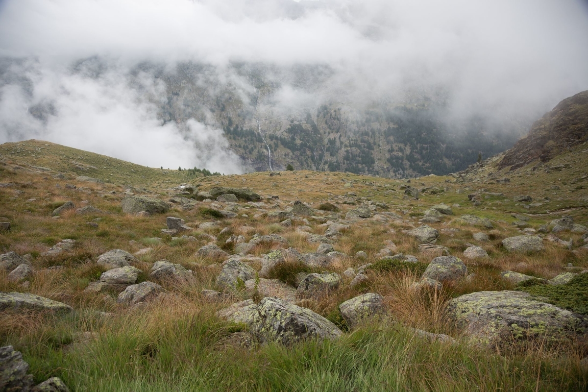 f:id:di82:20190329140146j:plain f:id:di82:20190329140146j:plain