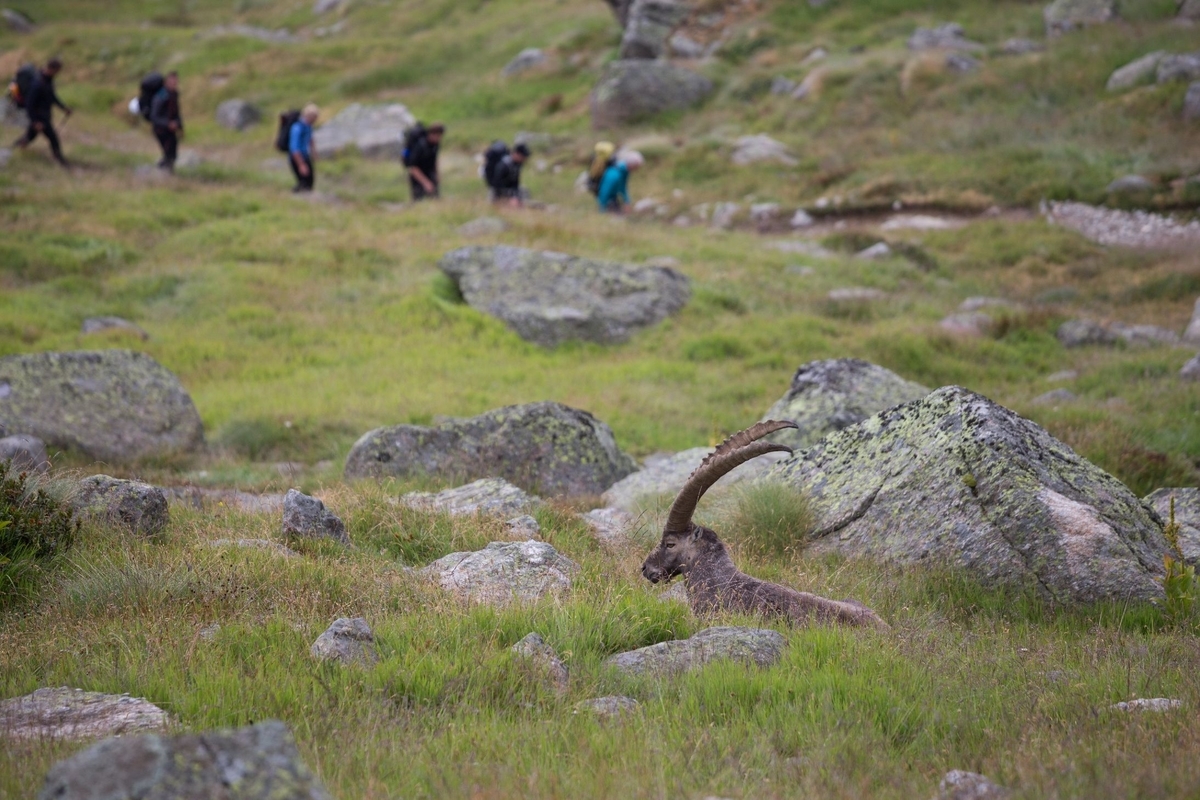 f:id:di82:20190329140207j:plain f:id:di82:20190329140207j:plain