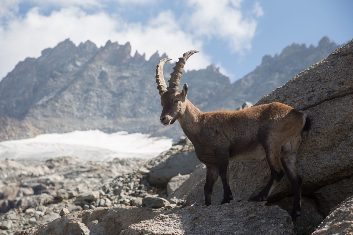 f:id:di82:20190405183918j:plain f:id:di82:20190405183918j:plain