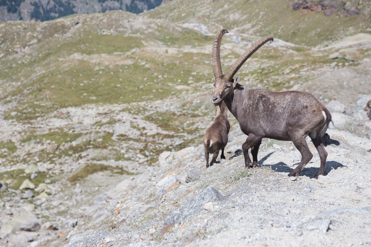 f:id:di82:20190405183936j:plain f:id:di82:20190405183936j:plain