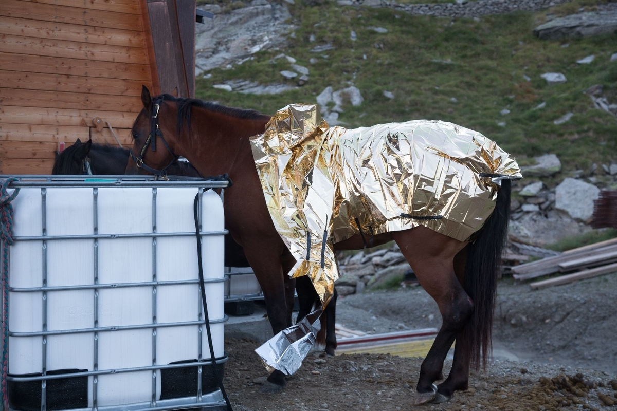 f:id:di82:20190405184046j:plain f:id:di82:20190405184046j:plain