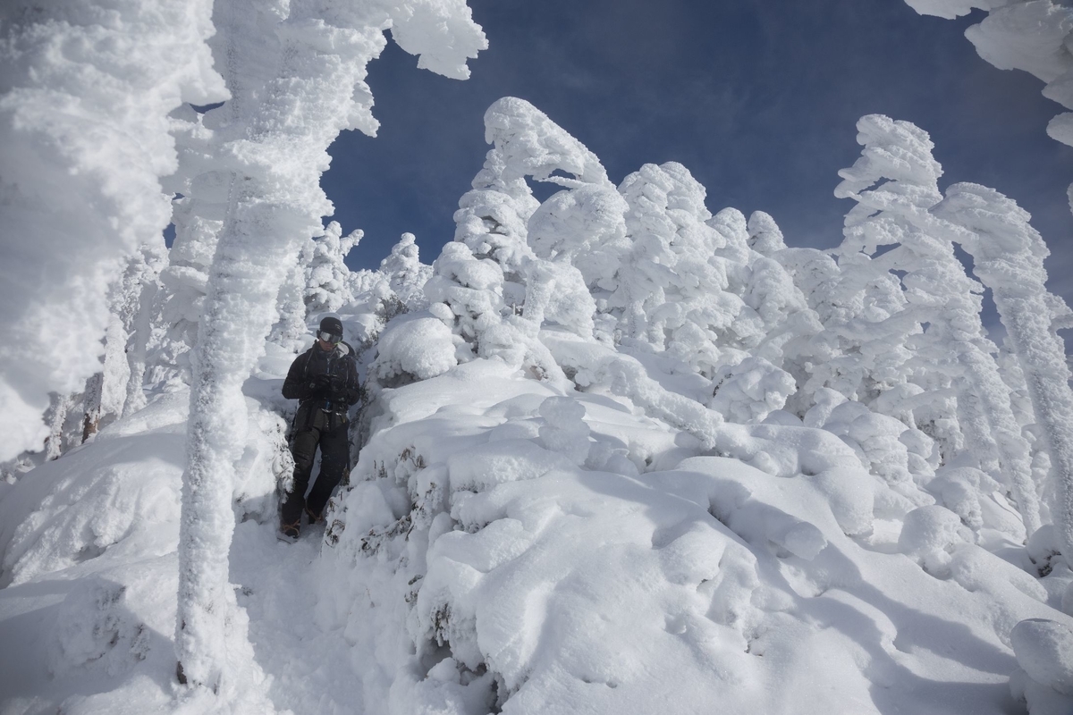 f:id:di82:20190429113747j:plain f:id:di82:20190429113747j:plain