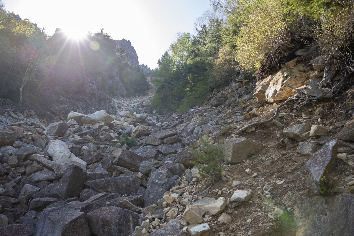 f:id:di82:20190530201858j:plain f:id:di82:20190530201858j:plain