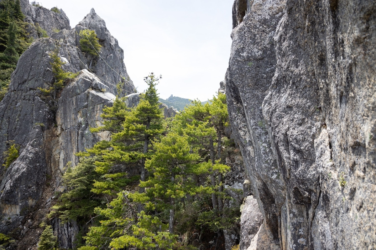 f:id:di82:20190530205709j:plain f:id:di82:20190530205709j:plain