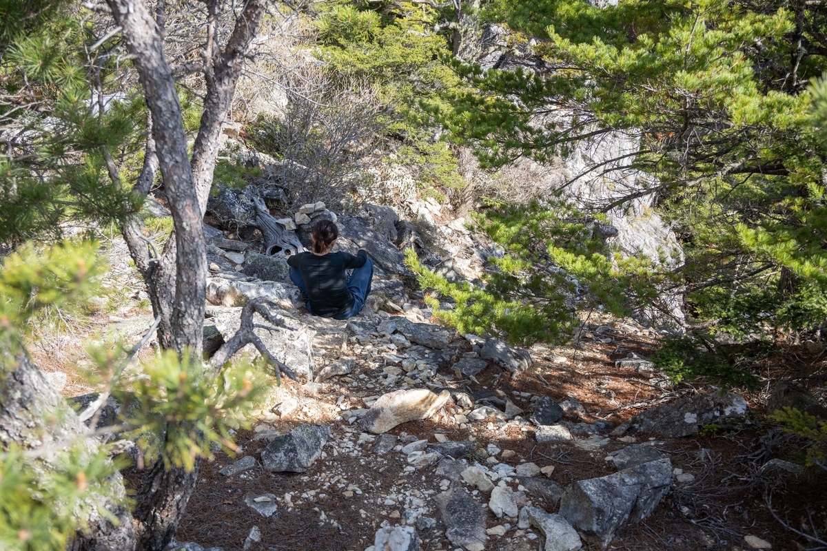 f:id:di82:20190530214752j:plain f:id:di82:20190530214752j:plain