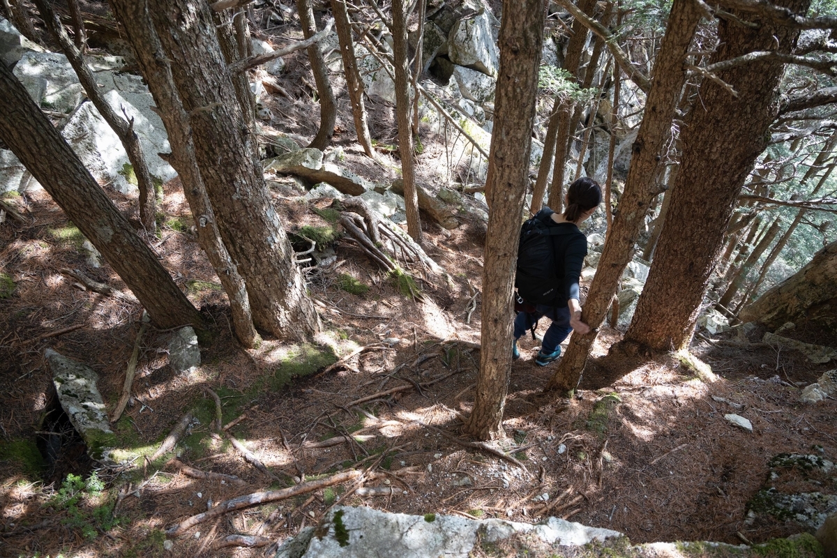 f:id:di82:20190530215005j:plain f:id:di82:20190530215005j:plain