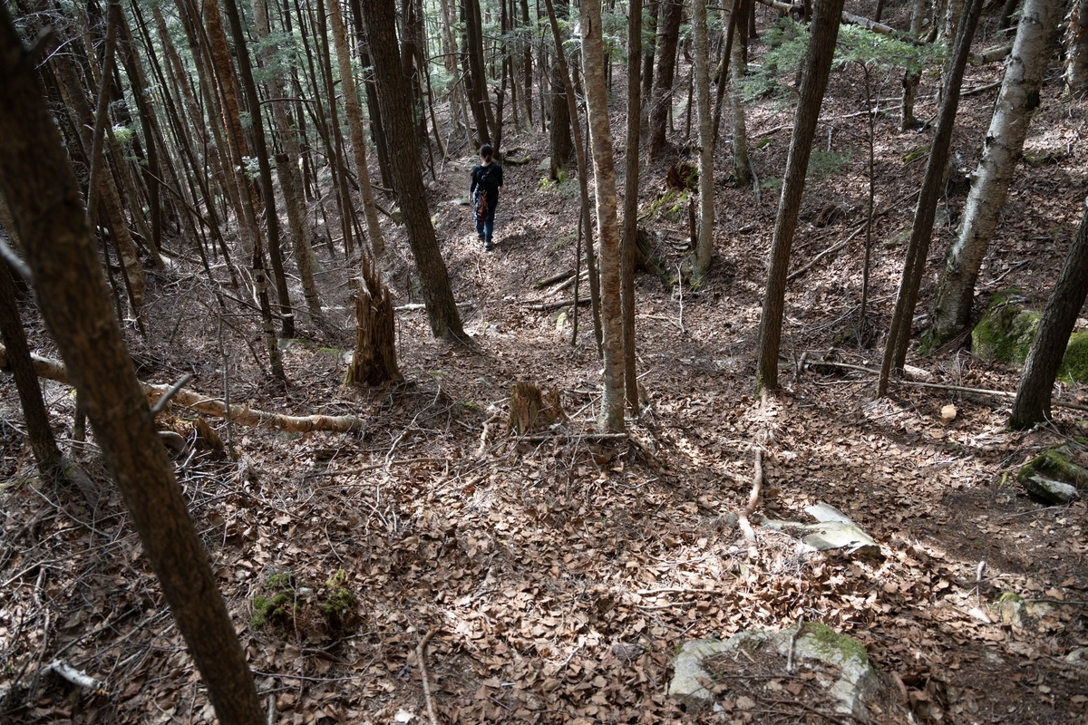 f:id:di82:20190530215022j:plain f:id:di82:20190530215022j:plain