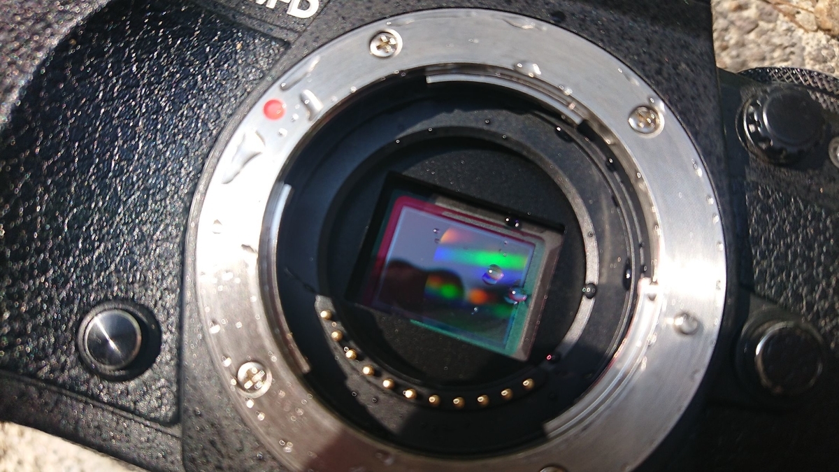 OM-D E-M5 Mark II】カメラを水没故障させてしまったので、保険