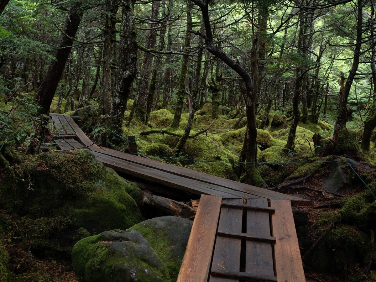 f:id:di82:20191108193407j:plain f:id:di82:20191108193407j:plain