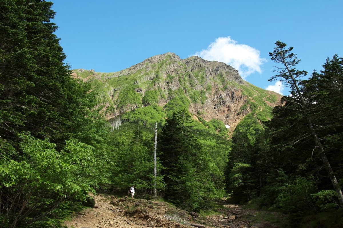 f:id:di82:20191108202339j:plain f:id:di82:20191108202339j:plain