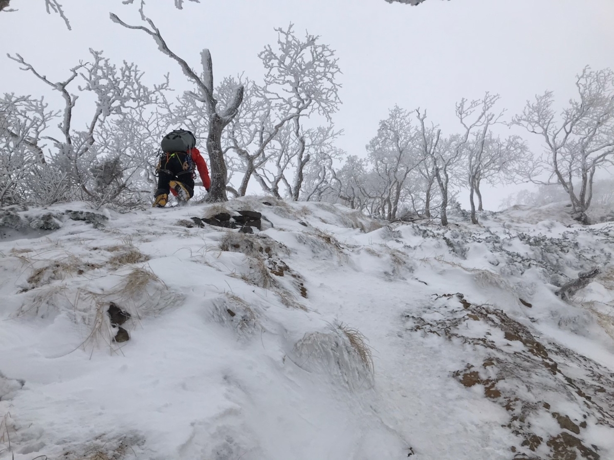 f:id:di82:20200108192929j:plain f:id:di82:20200108192929j:plain