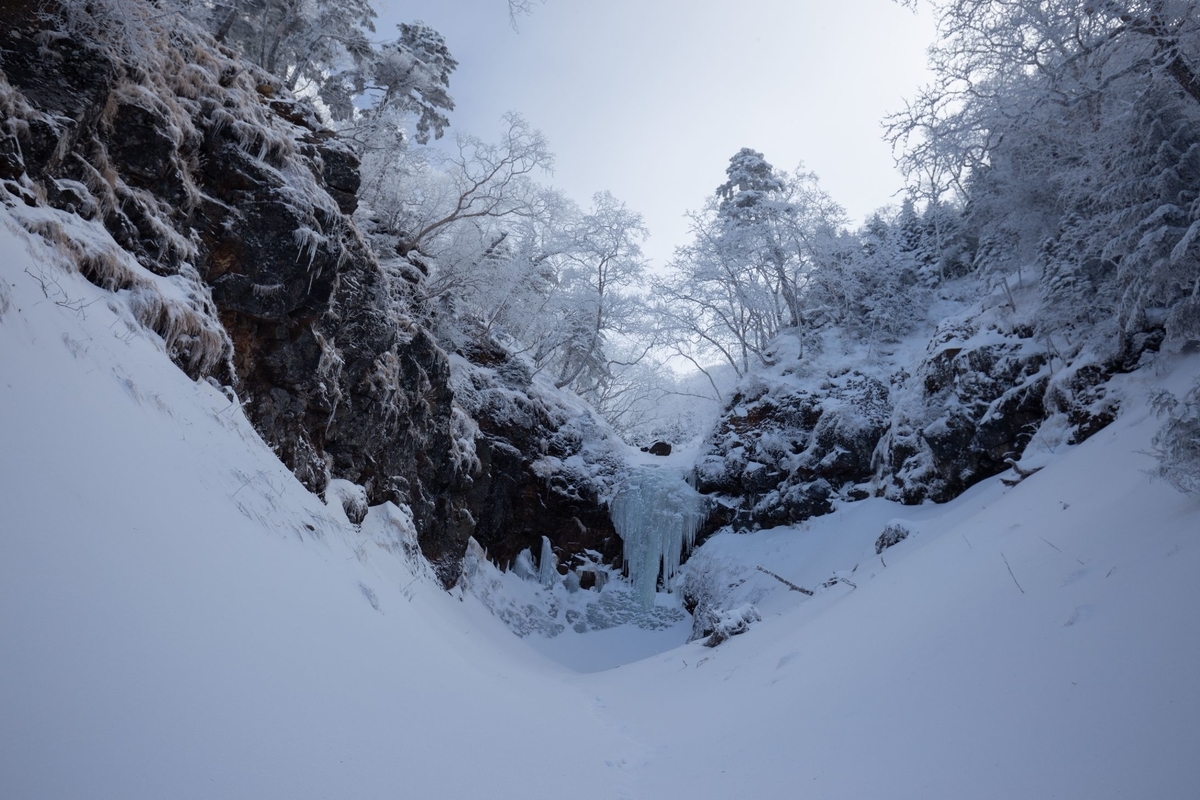 f:id:di82:20200109204920j:plain f:id:di82:20200109204920j:plain