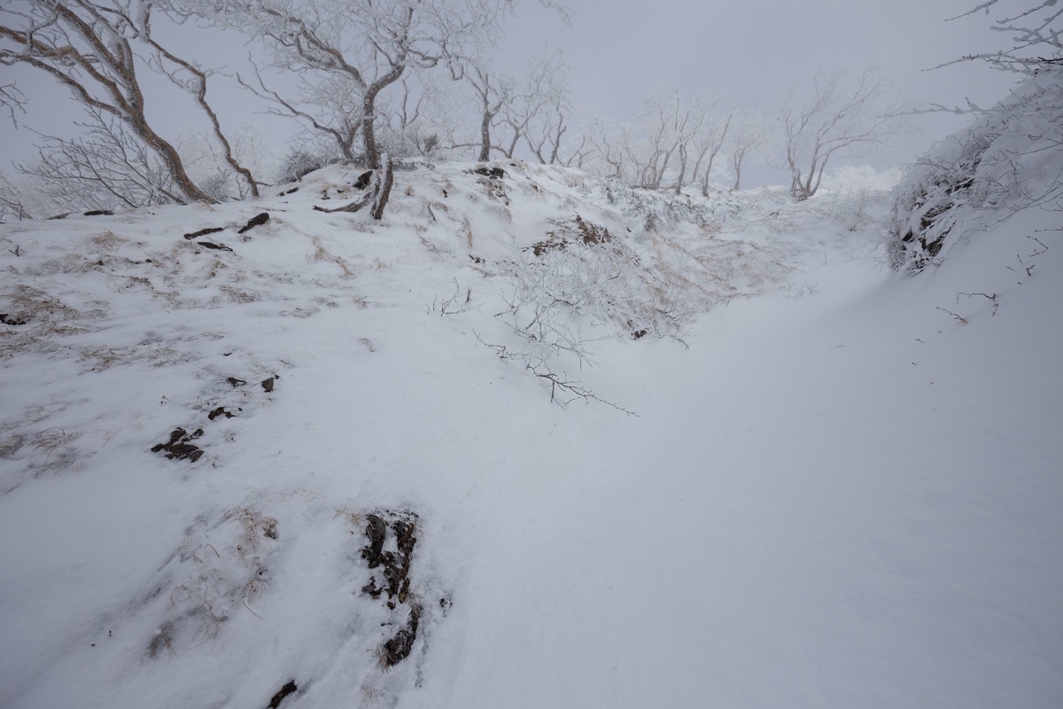 f:id:di82:20200109205528j:plain f:id:di82:20200109205528j:plain