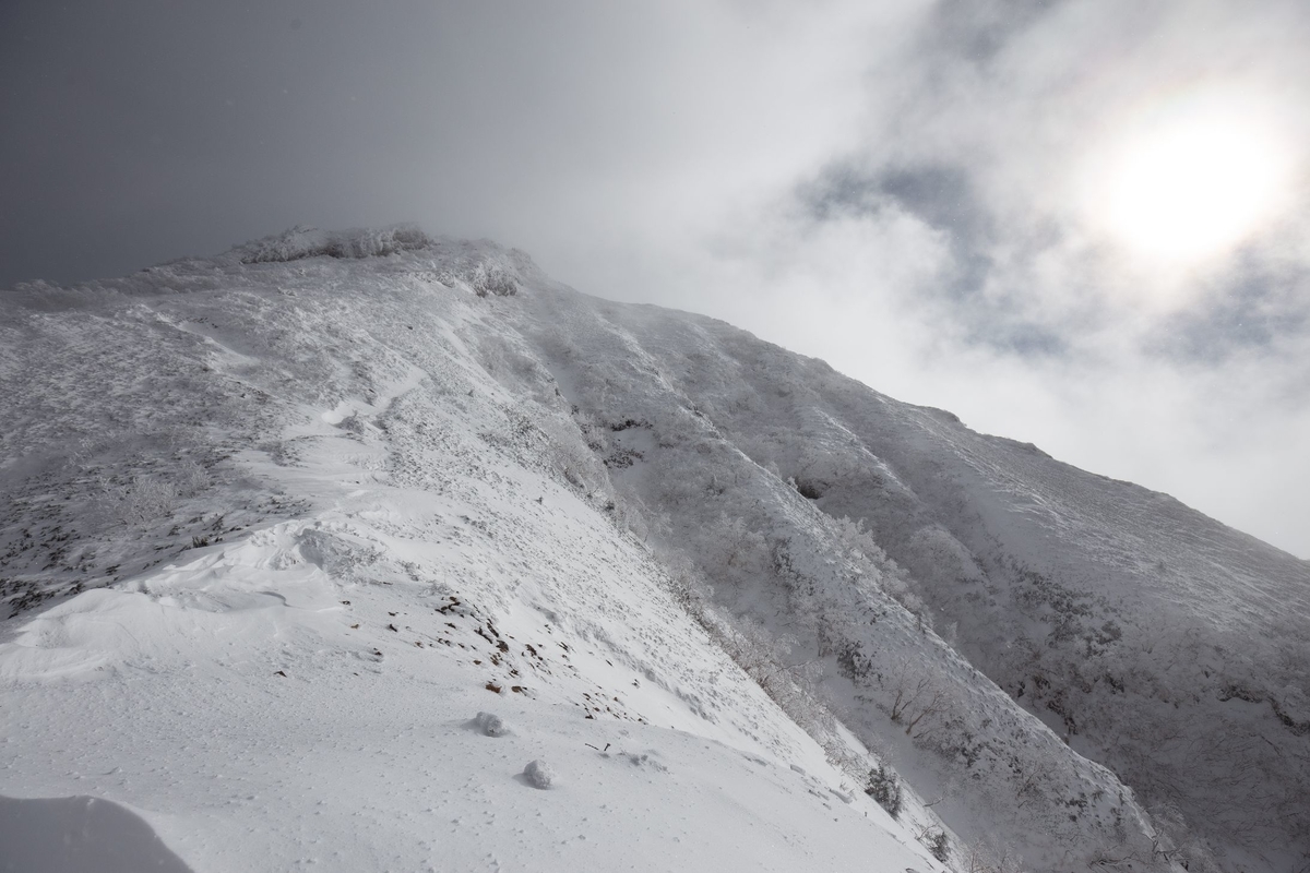 f:id:di82:20200109205638j:plain f:id:di82:20200109205638j:plain