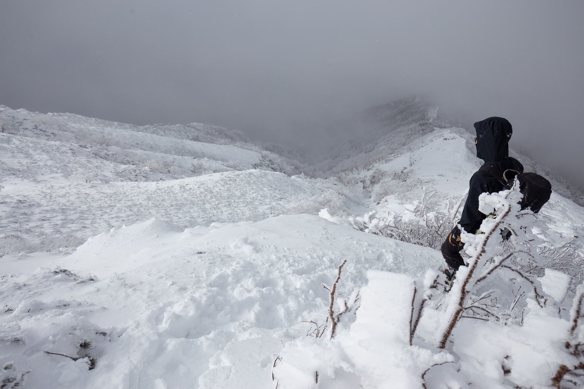 f:id:di82:20200109205831j:plain f:id:di82:20200109205831j:plain