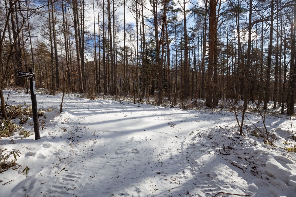 f:id:di82:20200113141451j:plain f:id:di82:20200113141451j:plain