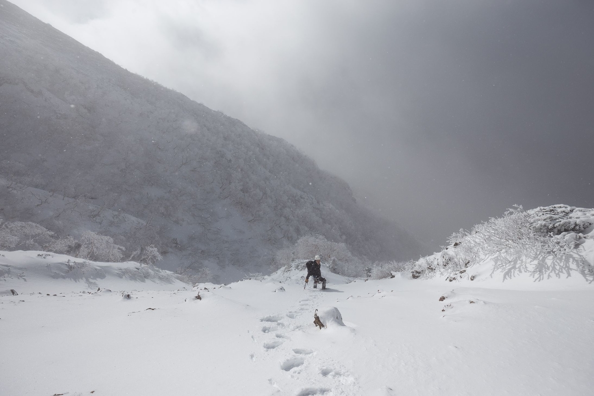 f:id:di82:20200113142101j:plain f:id:di82:20200113142101j:plain