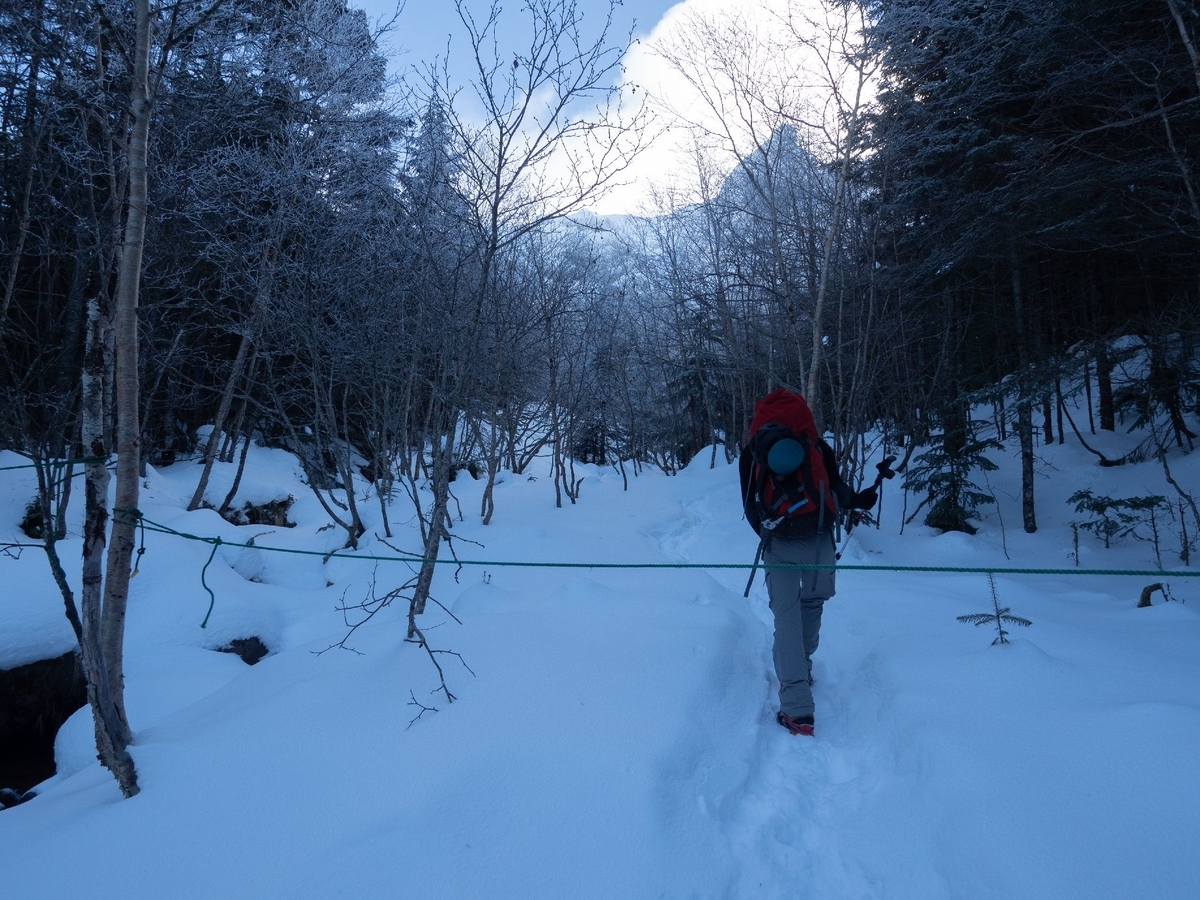 f:id:di82:20200115203537j:plain f:id:di82:20200115203537j:plain