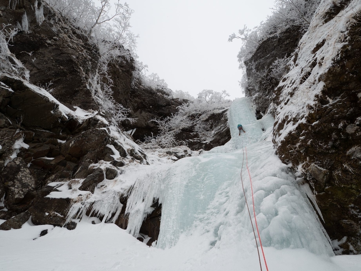 f:id:di82:20200115203843j:plain f:id:di82:20200115203843j:plain